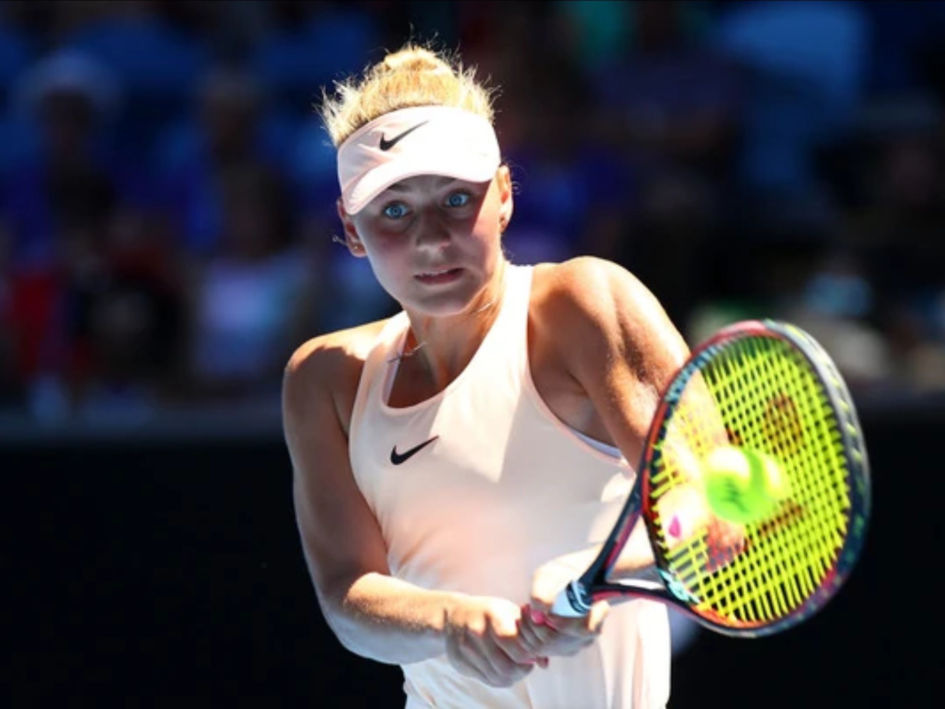 的截然不同 的截然不同