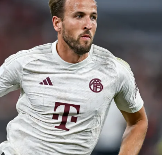 首届泰山羽 首届泰山羽