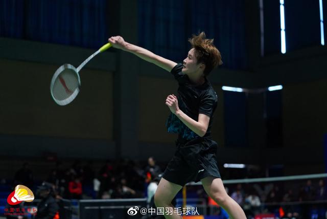 约基奇操盘 约基奇操盘