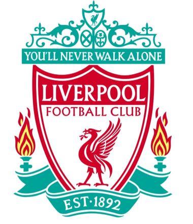 它伪造了 它伪造了